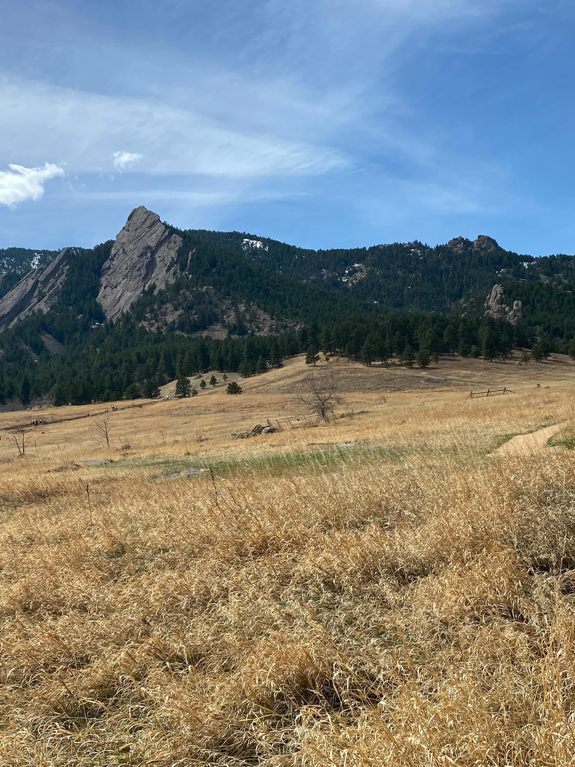 Westminster, Colorado neighborhood — homes BiggerEquity buys for cash